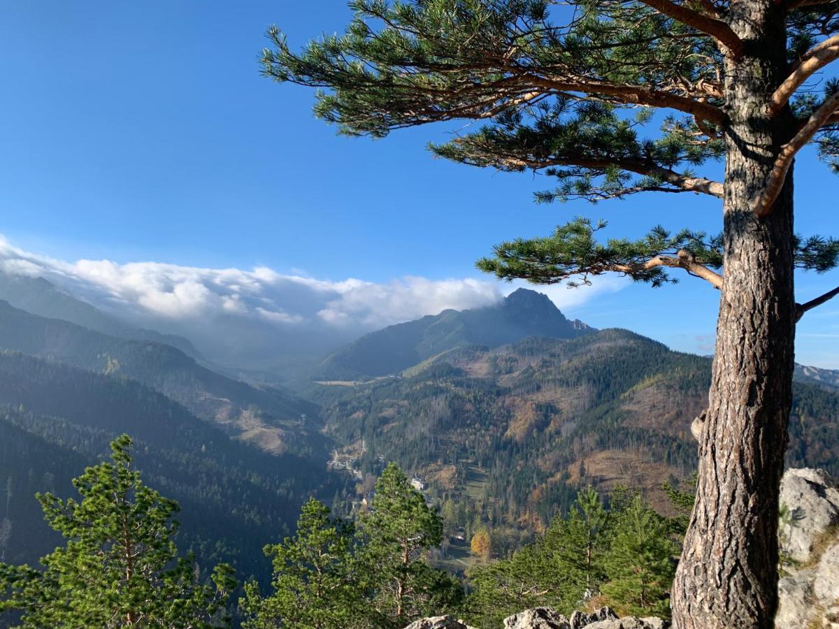 Willa Podhalanka, Dom Dla Max 20 Osob Na Wylacznosc Biały Dunajec Exterior foto